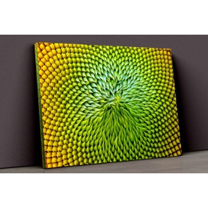 Renkli Dikenler Kanvas