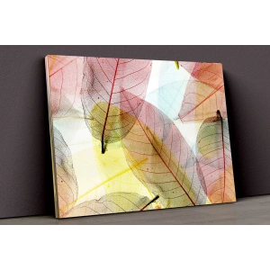 Renkli Yapraklar Kanvas