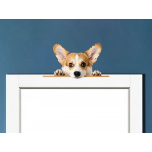 Rottweiler Yavrusu Duvar Stickerı