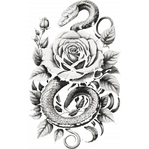 Yılan ve Gül Sticker 10x10 cmRenkli Sticker