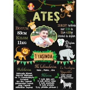 Safari Temalı Yaş Panosu