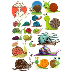 Salyangoz Sticker Set 5 20 Parça Telefon, Tablet, Defter, Laptop Sticker