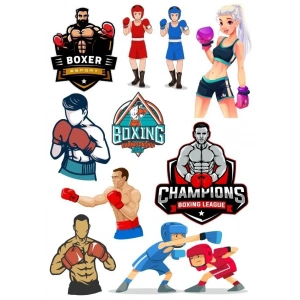 Şampiyon Box Sticker Set 10 Parça Telefon, Tablet, Defter, Laptop Sticker