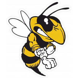 Kızgın Arı Sticker 10x10 cmRenkli Sticker