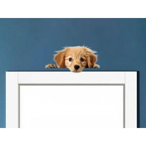 Sarı Yavru Köpek Duvar Stickerı