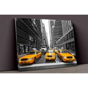 Şehir Ve Yaşam Kanvas