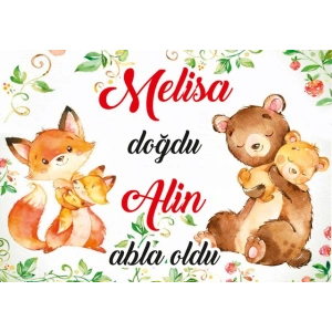 Sevimli Hayvanlar Temalı Bebek Karşılama Afişi 70X100 Cm