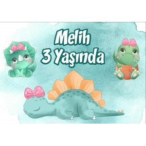 Dinozorlar Temalı Doğum Günü Afişi 50X70 cm