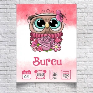 Sevimli Baykuş Temalı Yaş Panosu
