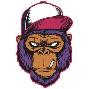 Sigara içen Goril Sticker 10x10 cmRenkli Sticker