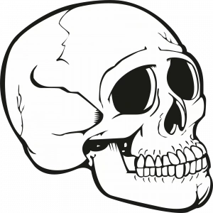 iskelet Sticker 10x10 cmRenkli Sticker