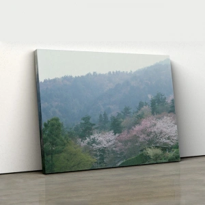 Sisli Dağ ve Kiraz Çiçekleri Kanvas Tablo