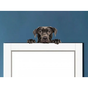 Siyah Cane Corso Köpek Duvar Stickerı