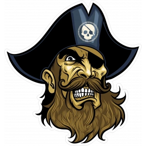 Korsan Sticker 10x10 cmRenkli Sticker