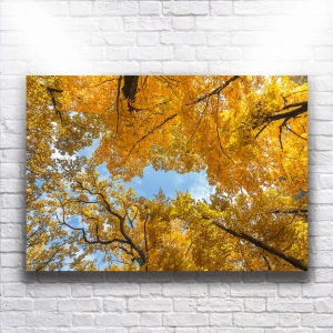 Sonbahar Ve Ağaçlar Kanvas