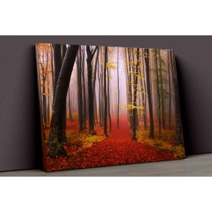 Sonbahar Ve Güneş Kanvas