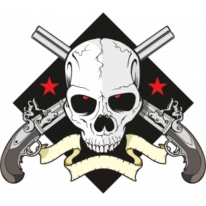 Silahlar ve Kurukafa Sticker 10x10 cmRenkli Sticker