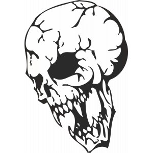 Vampir Kurukafa Sticker 10x10 cmRenkli Sticker