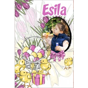 Civcivler Temalı Doğum Günü Afişi 35X50 cm