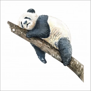Uyuyan Panda Sticker