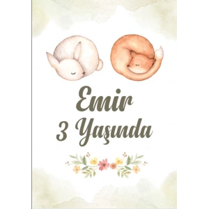 Uyuyan Tilki ve Tavşan Temalı Doğum Günü Afişi 50X70 cm