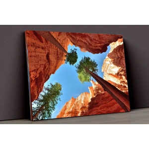 Vadi Ve Ağaçlar Kanvas