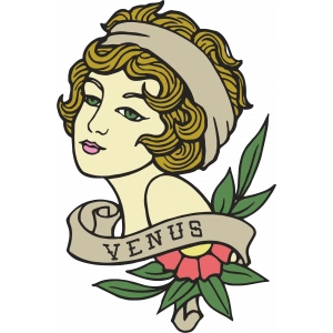 Venus Sticker 10x10 cmRenkli Sticker