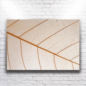 Yaprağın Dokusu Kanvas