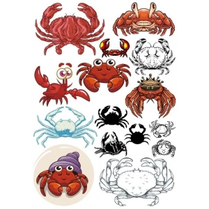 Yengeç Sticker Set-2 13 Parça Telefon, Tablet, Defter, Laptop Sticker