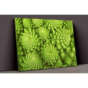 Yeşil Bitkiler Kanvas