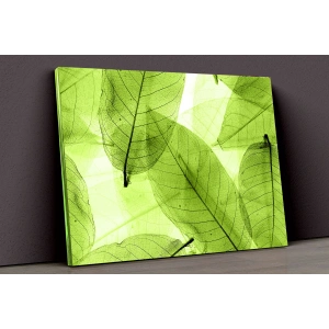 Yeşil Yapraklar Kanvas