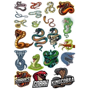 Yılan Cobra Sticker-2 17 Parça Telefon, Tablet, Defter, Laptop Sticker