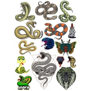 Yılan Sticker Set-3 13 Parça Telefon, Tablet, Defter, Laptop Sticker