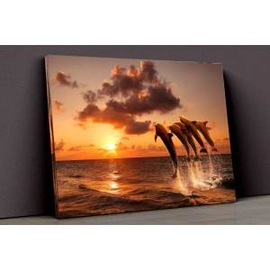 Yunuslar Ve Gün Batımı Kanvas