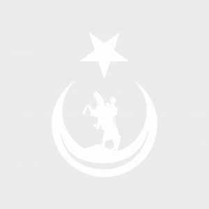 Ay Yıldız İçinde Atatürk Silüeti Sticker17x17 Cm Beyaz