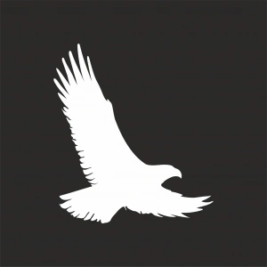 Uçan Kartal Sticker17x17 Cm Beyaz