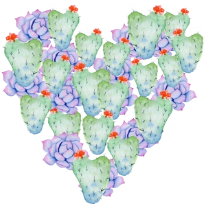Kaktüs ve Sukulent Kalp