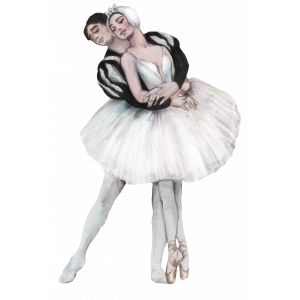 Kuğu Gölü Bale Çifti Duvar Stickerı