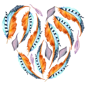 Tüylerden Oluşan Kalp Şekli