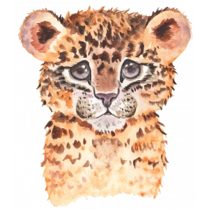 Yavru Leopar Portresi