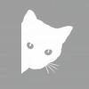 Kedi Sticker 17x17 Cm Beyaz