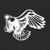 Kartal Sticker17x17 Cm Beyaz