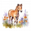 Çiçek Tarlasında At Yavrusu Duvar Stickerı