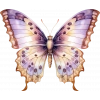 Çok Renkli Mor ve Altın Kelebek Duvar Stickerı