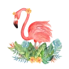 Tropikal Yapraklı Flamingo