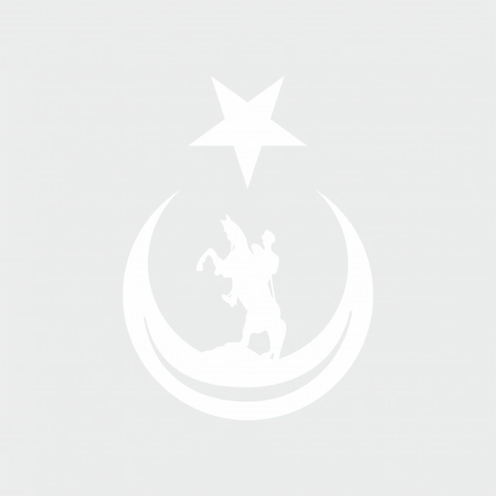 Ay Yıldız İçinde Atatürk Silüeti Sticker17x17 Cm Beyaz