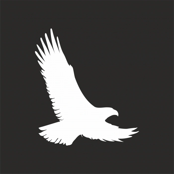 Uçan Kartal Sticker17x17 Cm Beyaz