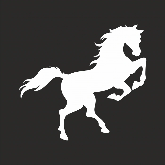 At Sticker 17x17 Cm Beyaz