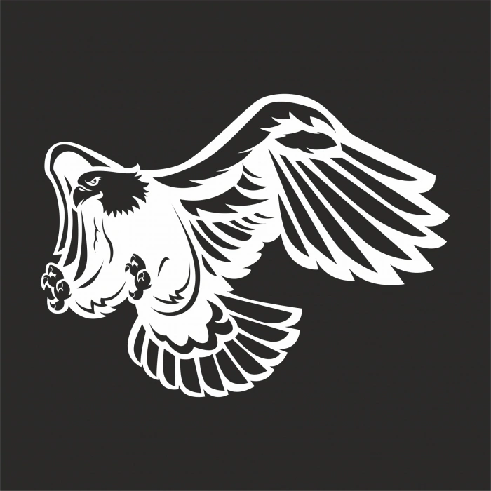 Kartal Sticker17x17 Cm Beyaz