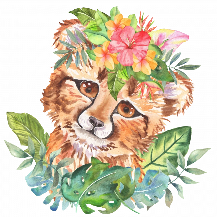 Çiçek Taçlı Yavru Çita